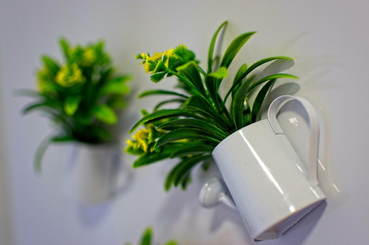 Carla Apartamentos 纳扎雷 外观 照片
